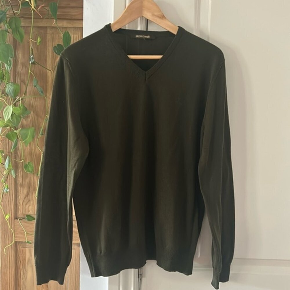 Roberto Cavalli V neck green pull over wool sweater large euc